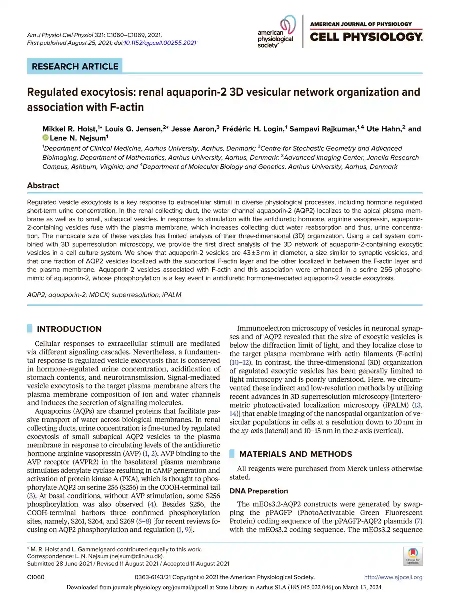 Forside af forskningsartikel om AQP2‑vesikelorganisation (Holst et al., American Journal of Physiology - Cell Physiology, 2021)